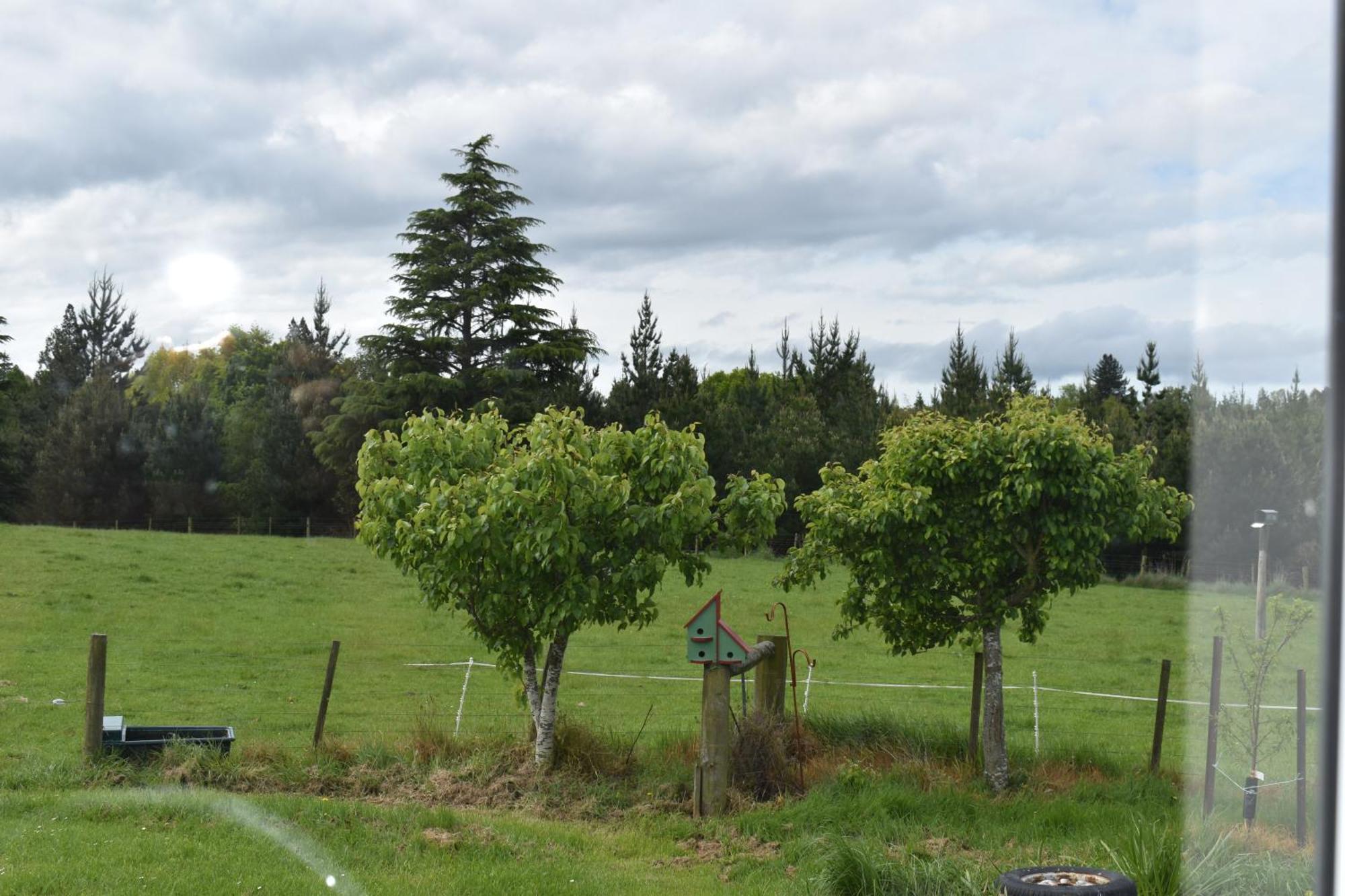 Bnb On Bakers Waimate Exteriör bild
