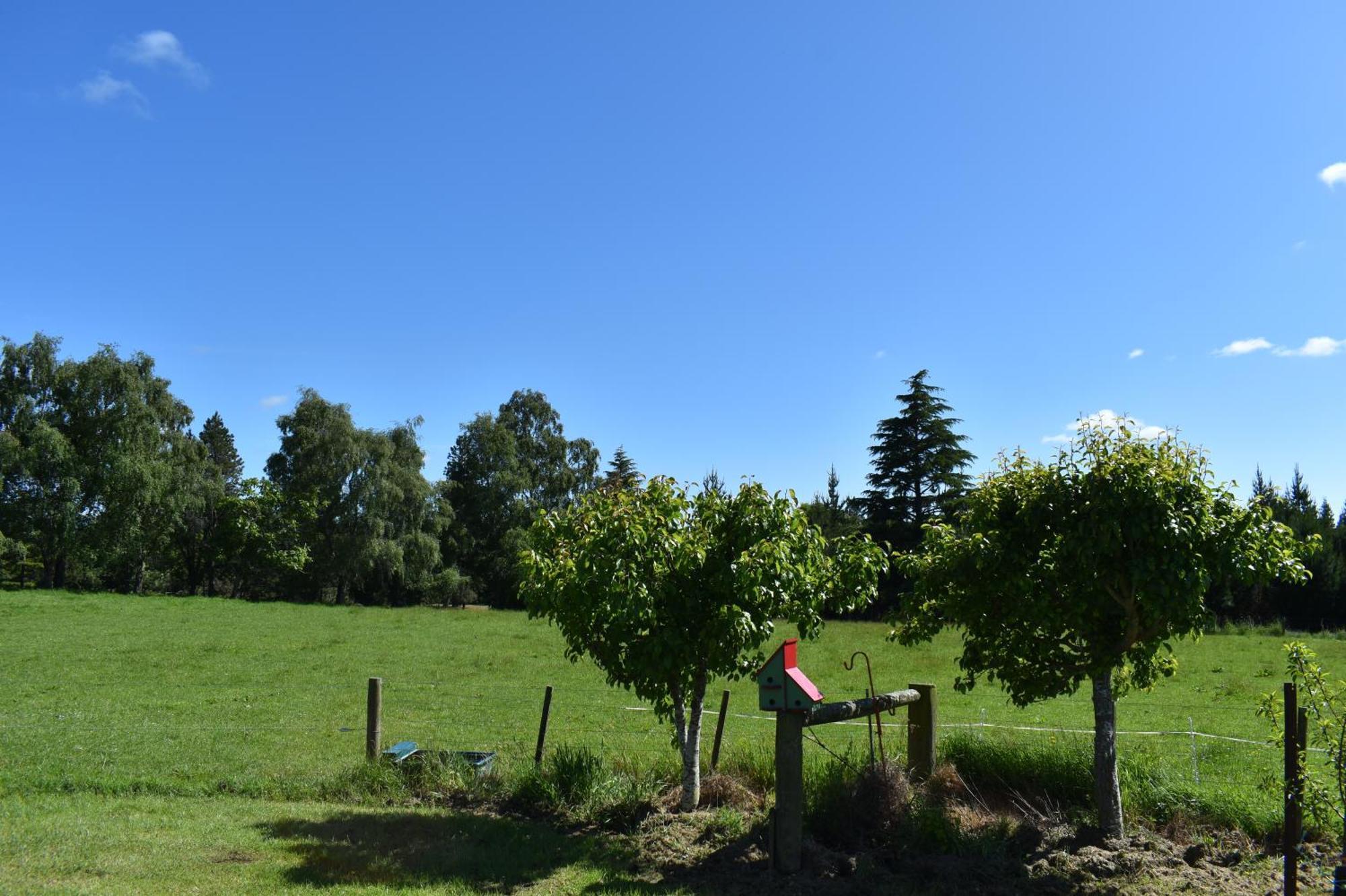 Bnb On Bakers Waimate Exteriör bild